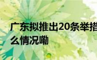 广东拟推出20条举措促进“个转企” 到底什么情况嘞