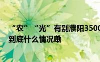 “农”“光”有别濮阳3500余亩光伏项目土地性质起争议 到底什么情况嘞