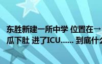 东胜新建一所中学 位置在→｜痛心！家长务必警惕｜凉拌黄瓜下肚 进了ICU...... 到底什么情况嘞