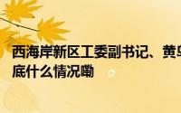 西海岸新区工委副书记、黄岛区区长王清源做客民生在线 到底什么情况嘞