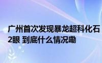 广州首次发现暴龙超科化石！广东还生活过哪些恐龙？｜第2眼 到底什么情况嘞