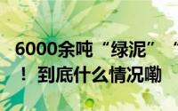 6000余吨“绿泥”“黄泥”跨市倾倒9人获刑！ 到底什么情况嘞