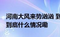 河南大风来势汹汹 到底对小麦有多大影响？ 到底什么情况嘞