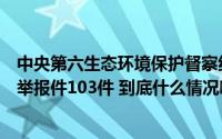 中央第六生态环境保护督察组向重庆市交办第七批群众信访举报件103件 到底什么情况嘞