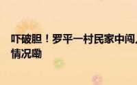 吓破胆！罗平一村民家中闯入2米多长的眼镜王蛇 到底什么情况嘞