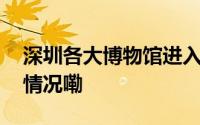 深圳各大博物馆进入“奇妙”时间 到底什么情况嘞