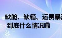 缺舱、缺箱、运费暴涨！多家企业发布涨价函 到底什么情况嘞