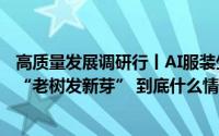 高质量发展调研行丨AI服装生成你想要的样子数智技术赋能“老树发新芽” 到底什么情况嘞