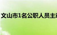 文山市1名公职人员主动投案 到底什么情况嘞