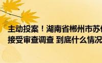 主动投案！湖南省郴州市苏仙区委常委、政法委书记黄朱超接受审查调查 到底什么情况嘞