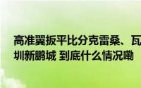 高准翼扳平比分克雷桑、瓦科各入一球山东泰山3:2战胜深圳新鹏城 到底什么情况嘞