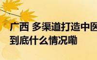 广西 多渠道打造中医药对外交流合作新平台 到底什么情况嘞