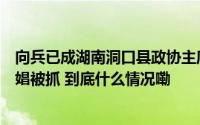 向兵已成湖南洞口县政协主席候选人该县政协前主席涉嫌嫖娼被抓 到底什么情况嘞