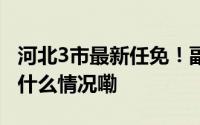 河北3市最新任免！副秘书长、局长…… 到底什么情况嘞