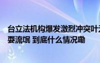 台立法机构爆发激烈冲突叶元之胸部被抓伤蓝营痛批民进党耍流氓 到底什么情况嘞