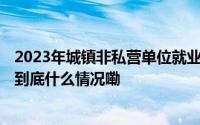 2023年城镇非私营单位就业人员年平均工资名义增长5.8% 到底什么情况嘞