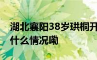 湖北襄阳38岁珙桐开花花似白鸽满树梢 到底什么情况嘞