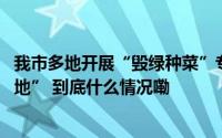 我市多地开展“毁绿种菜”专项整治行动 还居民一片“绿草地” 到底什么情况嘞