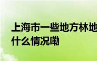 上海市一些地方林地损毁问题仍然多发 到底什么情况嘞