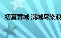 初夏蓉城 满城尽染浪漫紫 到底什么情况嘞