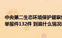 中央第二生态环境保护督察组向浙江省转办第九批群众信访举报件132件 到底什么情况嘞