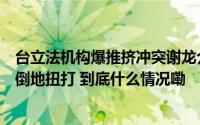 台立法机构爆推挤冲突谢龙介喊“这里我管的！”与锺佳滨倒地扭打 到底什么情况嘞