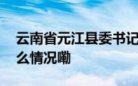 云南省元江县委书记瓦庆超拟任新职 到底什么情况嘞