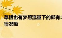 草根也有梦想流量下的郭有才正经历“折叠”人生 到底什么情况嘞