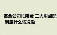 基金公司忙降费 三大重点配置行业有哪些？｜年报研究专题 到底什么情况嘞