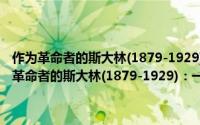 作为革命者的斯大林(1879-1929)：一项历史与人格的研究（关于作为革命者的斯大林(1879-1929)：一项历史与人格的研究的简介）