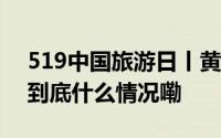 519中国旅游日丨黄冈英山邀您惠购花海！ 到底什么情况嘞