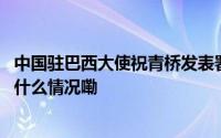 中国驻巴西大使祝青桥发表署名文章谈“产能过剩论” 到底什么情况嘞