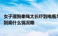 女子遛狗牵绳太长吓到电瓶车主致摔伤骨折！上海法院判了 到底什么情况嘞