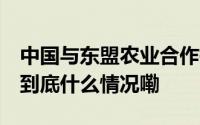 中国与东盟农业合作持续走深走实 环球热点 到底什么情况嘞