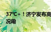 37℃+！济宁发布高温橙色预警 到底什么情况嘞