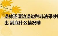 退林还湿边退边种非法采砂掏空洲滩洞庭湖生态破坏问题突出 到底什么情况嘞