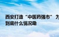 西安打造“中医药强市” 为健康城市建设增添中医药元素 到底什么情况嘞