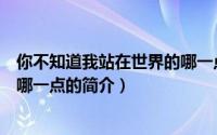 你不知道我站在世界的哪一点（关于你不知道我站在世界的哪一点的简介）