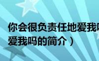 你会很负责任地爱我吗（关于你会很负责任地爱我吗的简介）