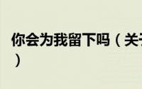 你会为我留下吗（关于你会为我留下吗的简介）