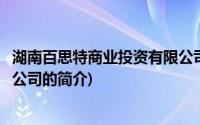 湖南百思特商业投资有限公司(关于湖南百思特商业投资有限公司的简介)