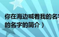 你在海边喊着我的名字（关于你在海边喊着我的名字的简介）