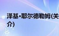 泽基·耶尔德勒姆(关于泽基·耶尔德勒姆的简介)