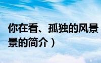 你在看、孤独的风景（关于你在看、孤独的风景的简介）