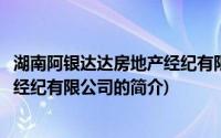 湖南阿银达达房地产经纪有限公司(关于湖南阿银达达房地产经纪有限公司的简介)