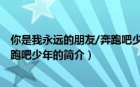 你是我永远的朋友/奔跑吧少年（关于你是我永远的朋友/奔跑吧少年的简介）