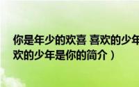 你是年少的欢喜 喜欢的少年是你（关于你是年少的欢喜 喜欢的少年是你的简介）