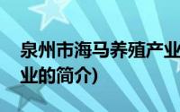 泉州市海马养殖产业(关于泉州市海马养殖产业的简介)