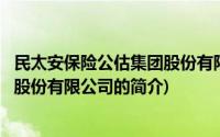 民太安保险公估集团股份有限公司(关于民太安保险公估集团股份有限公司的简介)