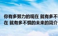 你有多努力的现在 就有多不惧的未来（关于你有多努力的现在 就有多不惧的未来的简介）